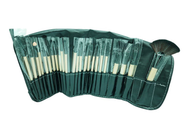 professional brush kit